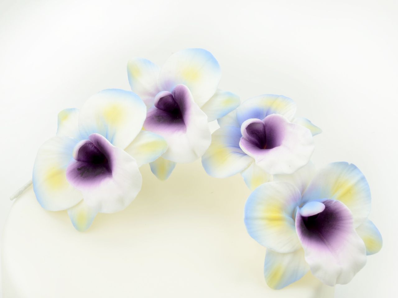 Feinzucker-Blütenzweig Orchid spray , 16,5 cm