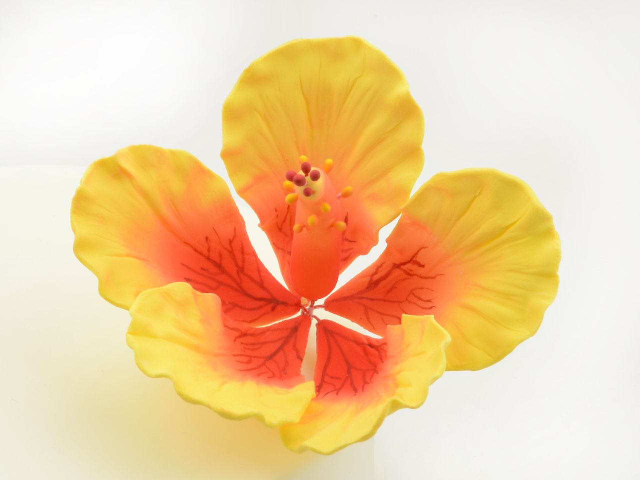 Feinzucker-Blüte Hibiskus Giant, 11,4 cm