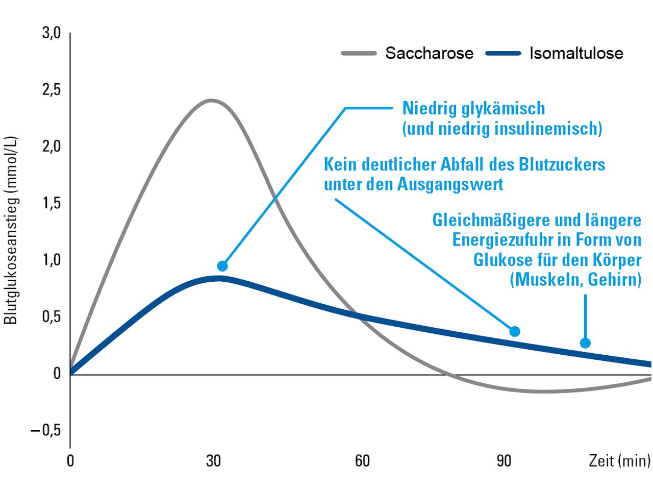 Zuckerersatz: Isomaltulose (Palatinose™), 2 kg